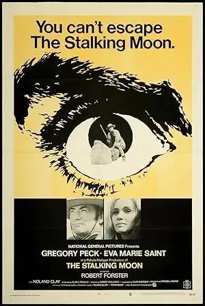 فيلم The Stalking Moon 1968 مترجم